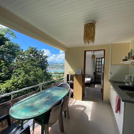 Top Hill Hostel- Martinique- Auberge Dortoir 拉特里尼泰 外观 照片