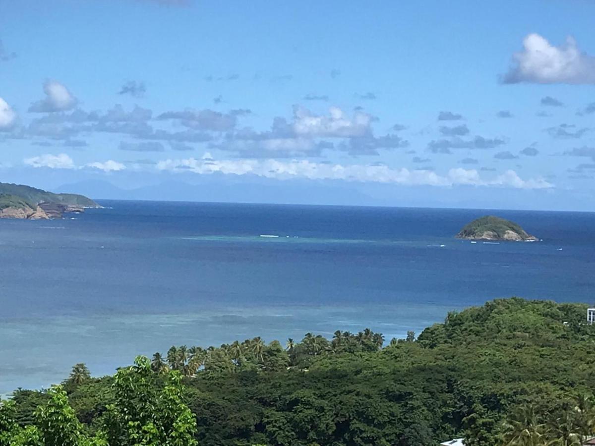 Top Hill Hostel- Martinique- Auberge Dortoir 拉特里尼泰 外观 照片