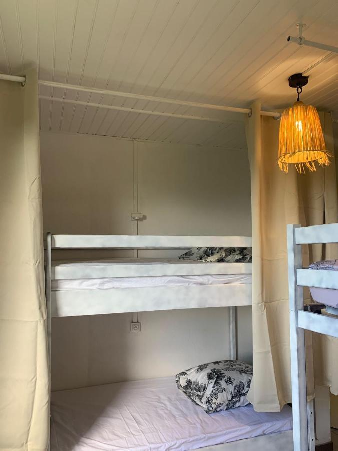 Top Hill Hostel- Martinique- Auberge Dortoir 拉特里尼泰 外观 照片