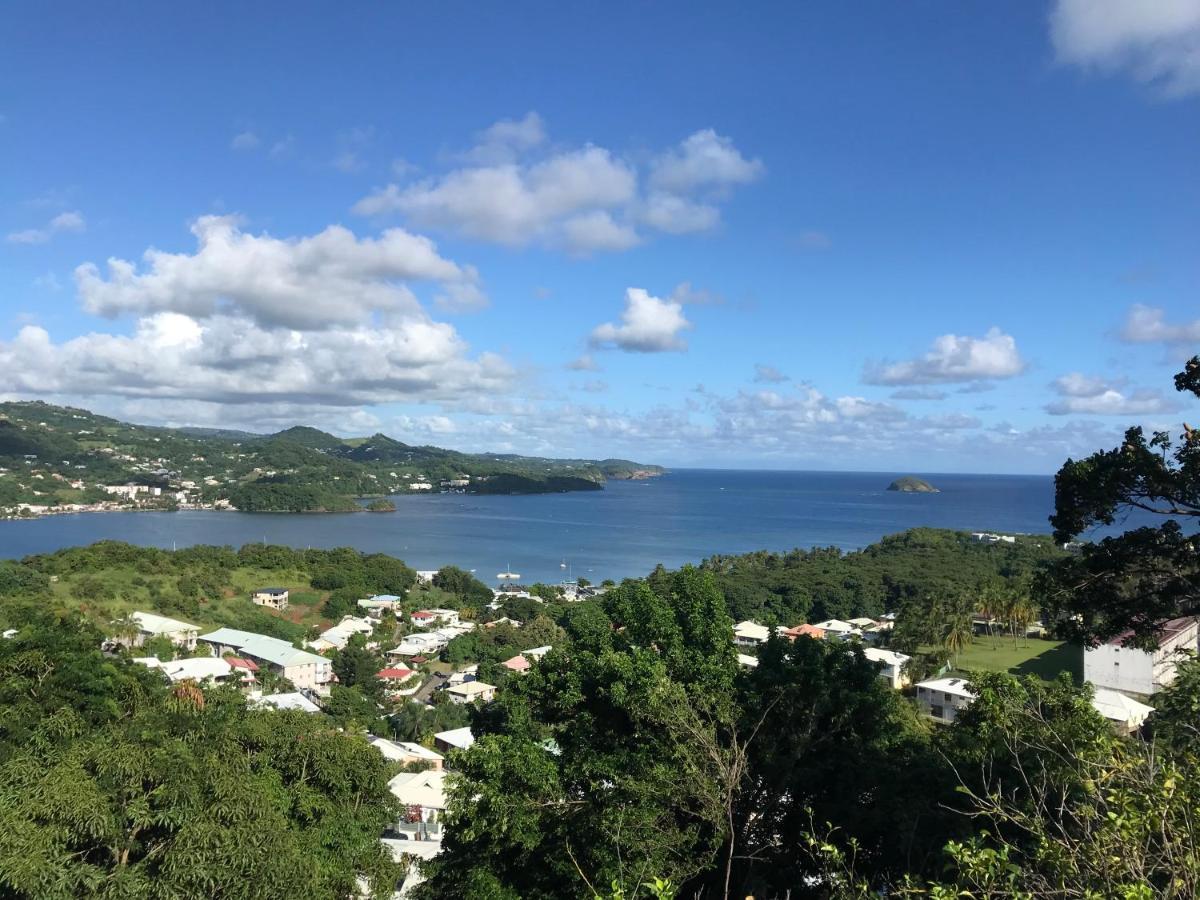 Top Hill Hostel- Martinique- Auberge Dortoir 拉特里尼泰 外观 照片