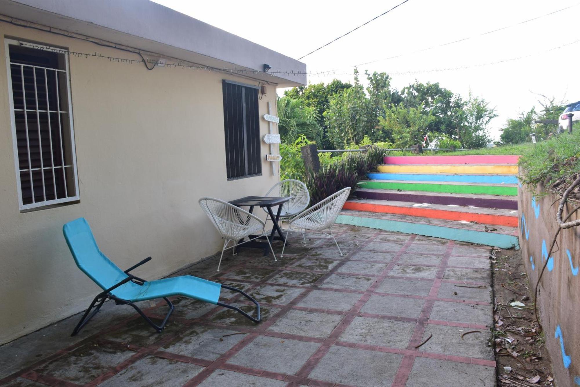 Top Hill Hostel- Martinique- Auberge Dortoir 拉特里尼泰 外观 照片