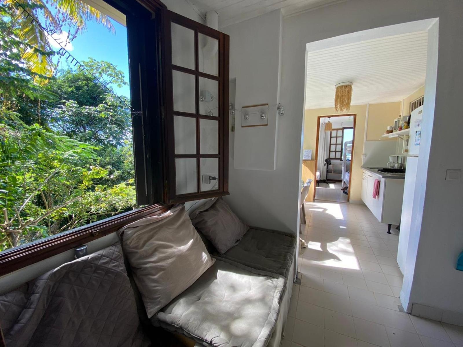 Top Hill Hostel- Martinique- Auberge Dortoir 拉特里尼泰 外观 照片